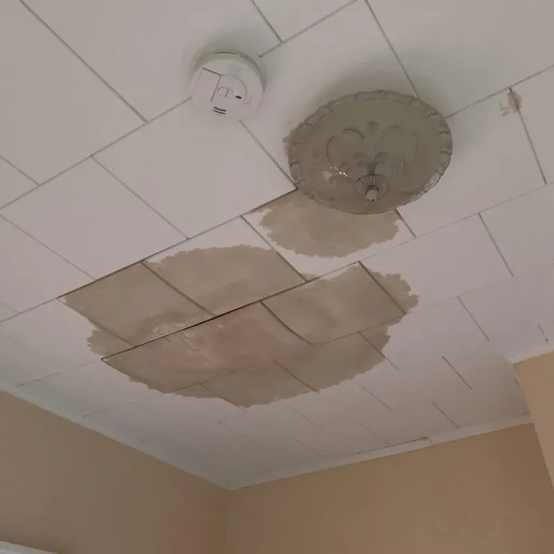 Ceiling Water Damage Repair in Tainter Lake, WI