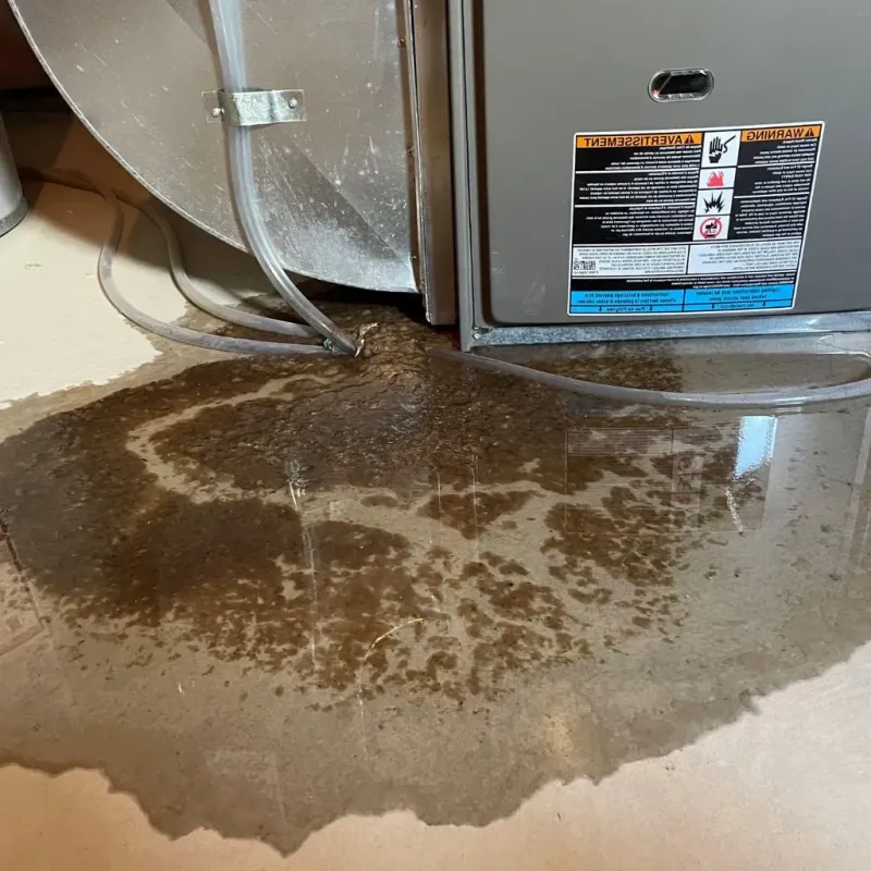 Pipe Burst and Leak Restoration in Tainter Lake, WI
