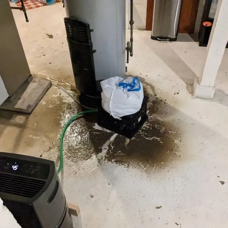 Sewage Backup Cleanup Service in Tainter Lake, WI